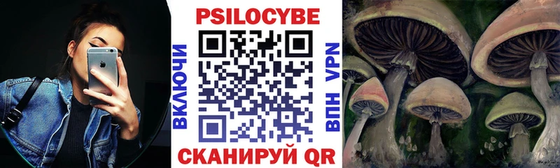 MEGA зеркало  Устюжна  Псилоцибиновые грибы GOLDEN TEACHER 